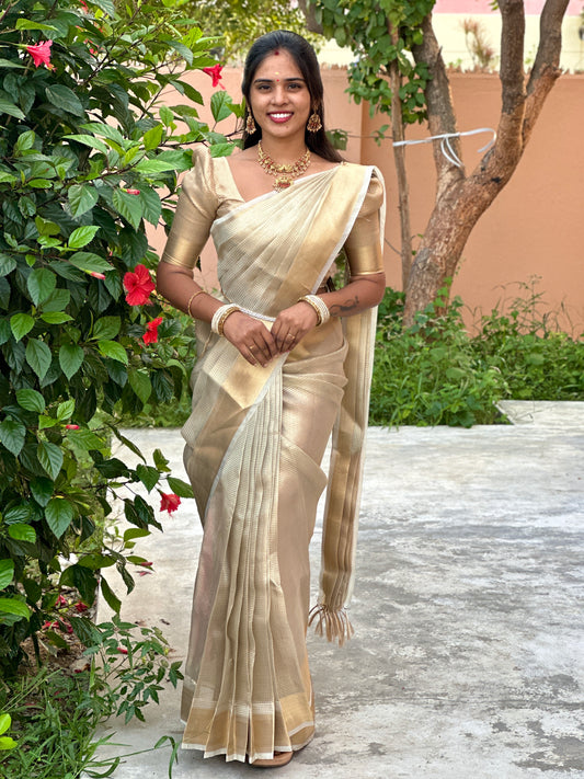 Nayanthara mam Inspired saree Tissue silk saree