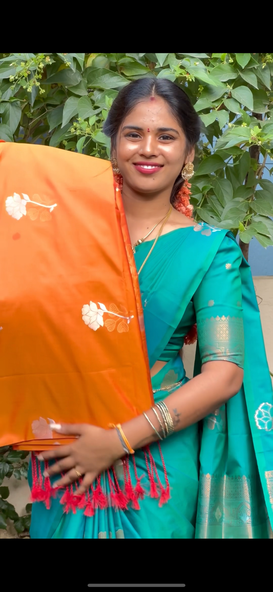 Premium borderless soft silk saree