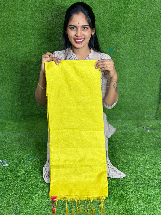 Khadi tissue silk saree