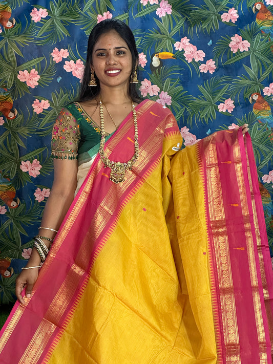 Handloom cotton Saree