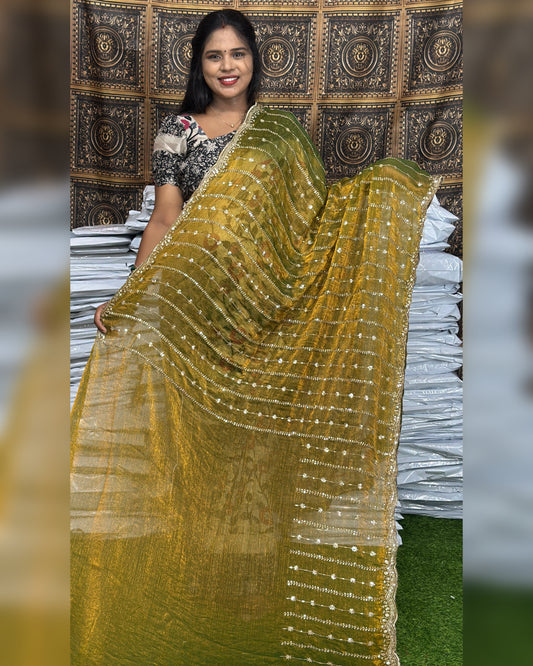 Space silk Fancy saree full sequence work